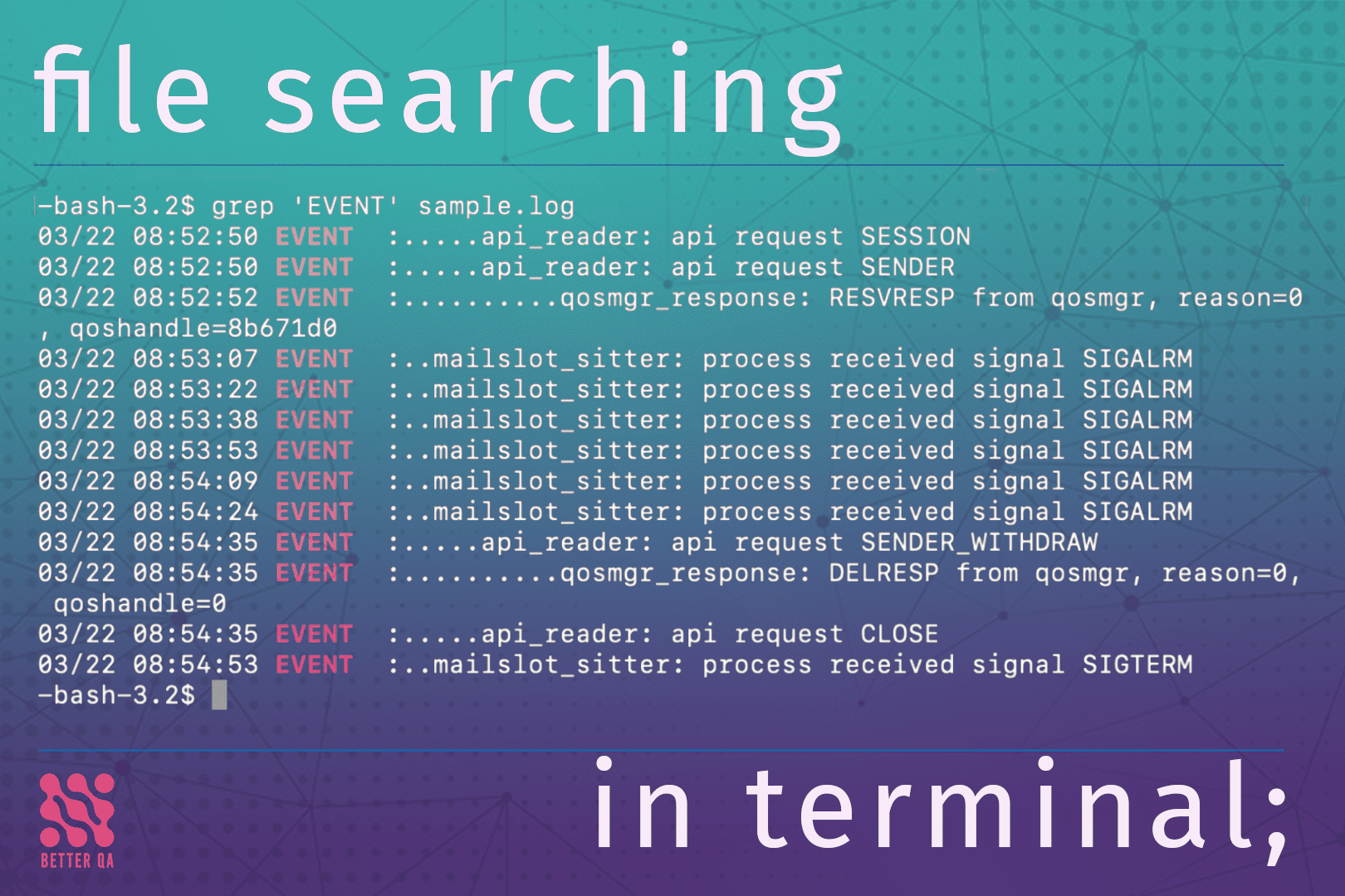 file searching in the terminal