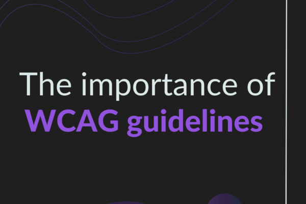 the importance of WCAG guidelines