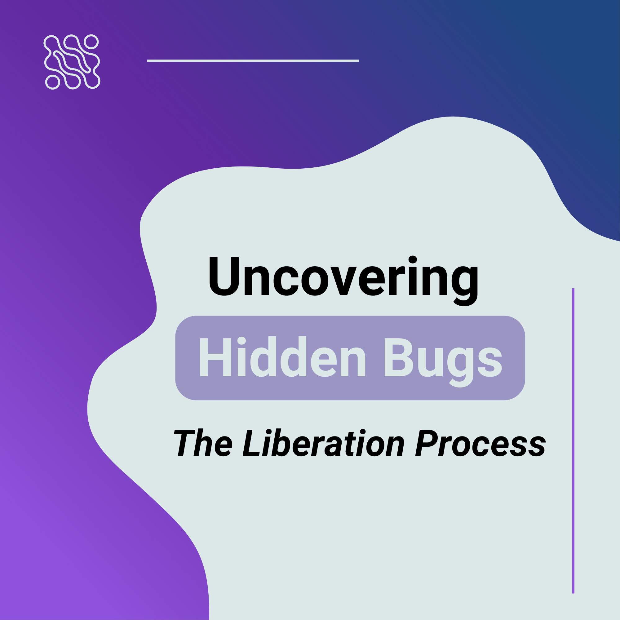 Uncovering Hidden Bugs the Liberation Process
