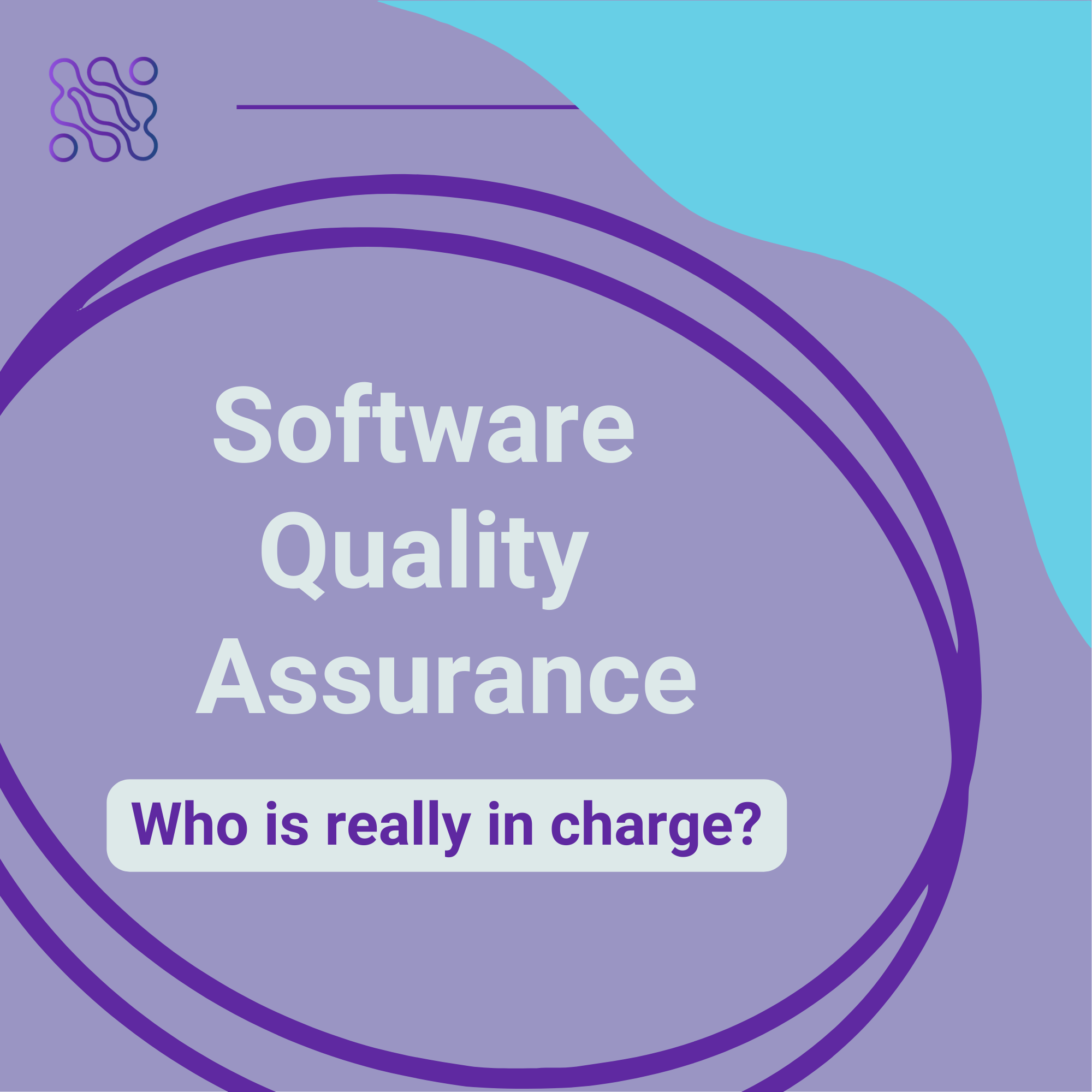 Who is really in charge of software quality assurance