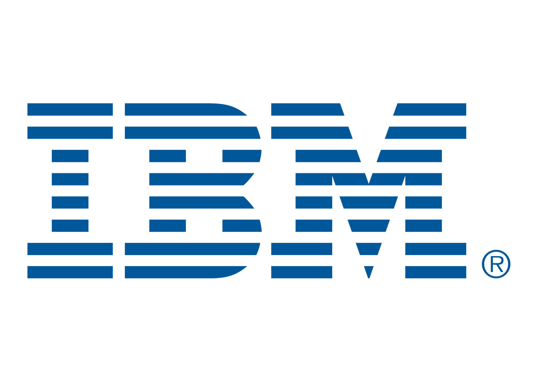 IBM Partner logo
